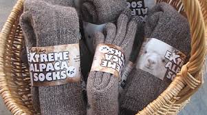 extreme alpaca socks