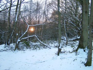 winter solstice