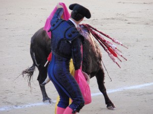 matador with bull